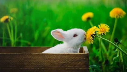 米乐下载：让你的娱乐生活更精彩